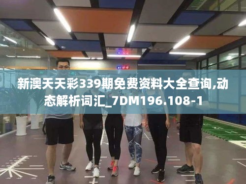 新澳天天彩339期免费资料大全查询,动态解析词汇_7DM196.108-1