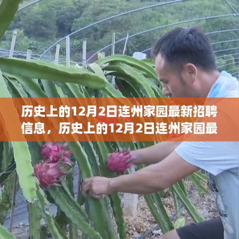 历史上的12月2日连州家园最新招聘信息及其就业机遇与挑战解析