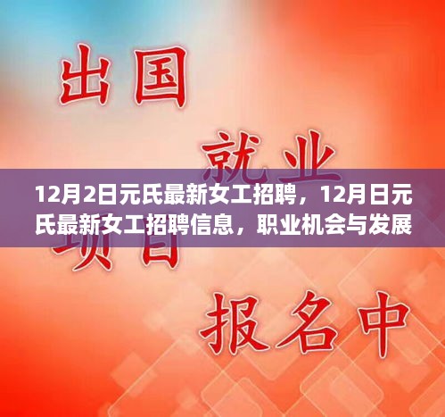 元氏最新女工招聘启事，职业机会、发展前景展望