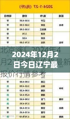 辽宁蛋价探秘，2024年12月2日最新鸡蛋价格揭秘