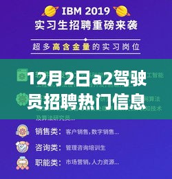 12月2日A2驾驶员招聘热门信息全攻略，适合初学者与进阶用户