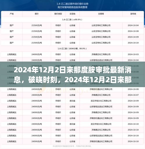 2024年12月2日来那度胺审批最新进展，破晓时刻的变化力量与学习魅力