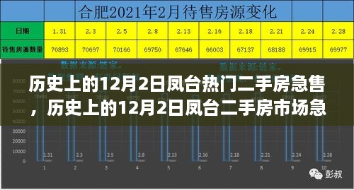 历史上的12月2日凤台二手房市场急售现象解析与深度解读