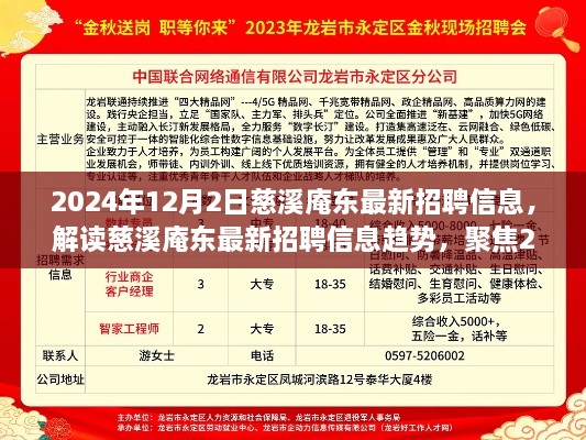 慈溪庵东最新招聘信息解读，聚焦人才战略与个人发展视角（2024年）