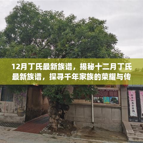 揭秘千年家族荣耀与传承，十二月丁氏最新族谱发布