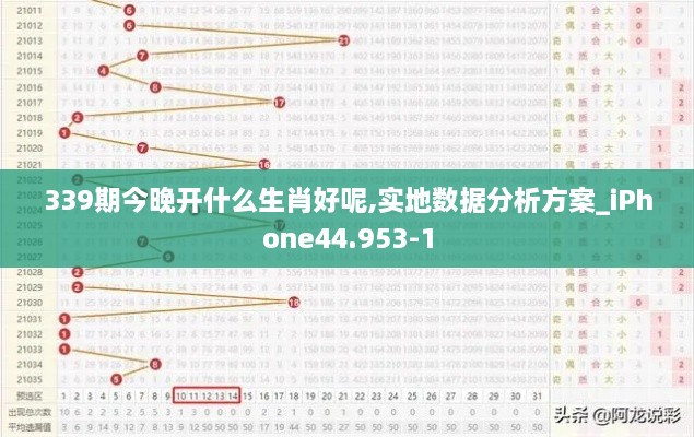 339期今晚开什么生肖好呢,实地数据分析方案_iPhone44.953-1