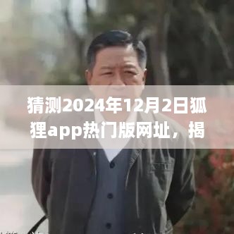 揭秘狐狸app热门版网址，预测未来犯罪风险与防范策略（警惕违法犯罪行为）