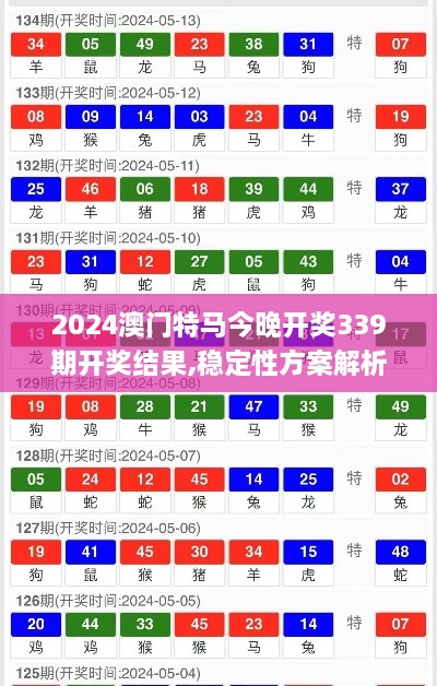 2024澳门特马今晚开奖339期开奖结果,稳定性方案解析_iPad8.766-1