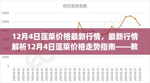 12月4日莲菜价格行情解析，市场动态洞悉与把握投资机遇