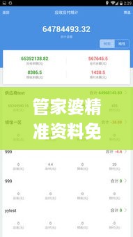 管家婆精准资料免费大全香港340期,创新执行策略解读_VR版60.530-9