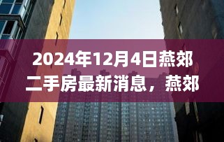 燕郊二手房最新消息及购房攻略，初学者与进阶用户指南（2024年最新版）