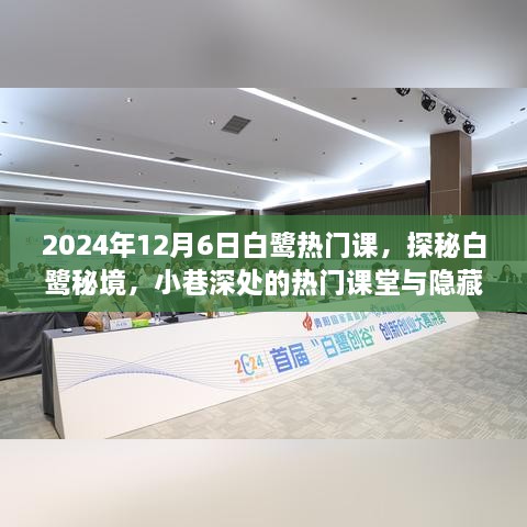 探秘白鹭秘境，热门课堂与特色小店深度体验日（2024年12月6日）