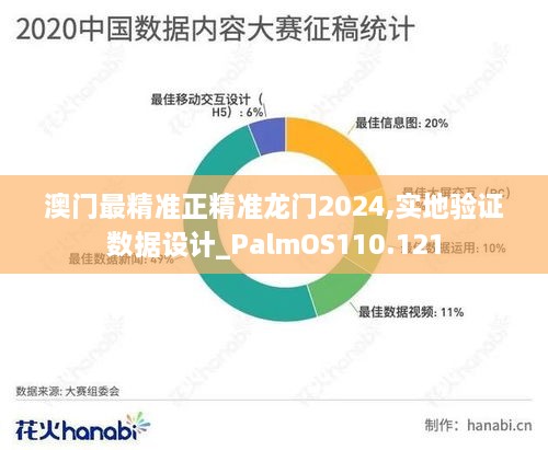 澳门最精准正精准龙门2024,实地验证数据设计_PalmOS110.121