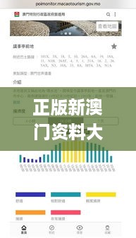 正版新澳门资料大全,精细化策略解析_SE版8.674