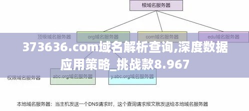 373636.com域名解析查询,深度数据应用策略_挑战款8.967