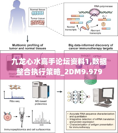 九龙心水高手论坛资料1,数据整合执行策略_2DM9.979