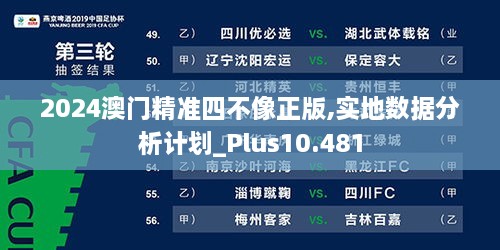 2024澳门精准四不像正版,实地数据分析计划_Plus10.481