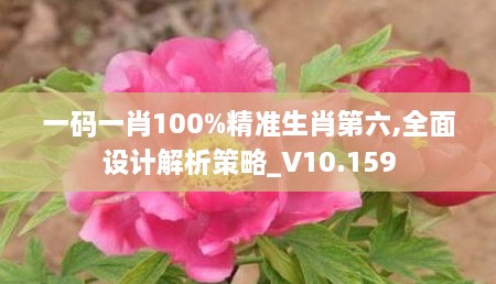 一码一肖100%精准生肖第六,全面设计解析策略_V10.159