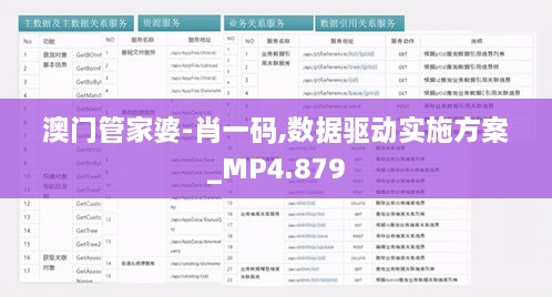 澳门管家婆-肖一码,数据驱动实施方案_MP4.879