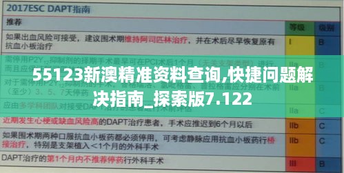 55123新澳精准资料查询,快捷问题解决指南_探索版7.122