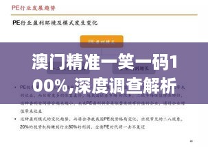 澳门精准一笑一码100%,深度调查解析说明_YE版9.941