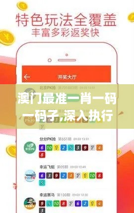 澳门最准一肖一码一码孑,深入执行方案设计_黄金版18.394