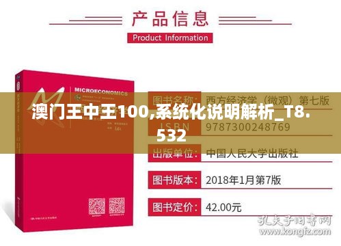 澳门王中王100,系统化说明解析_T8.532