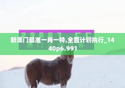 新澳门最准一肖一特,全面计划执行_1440p6.991