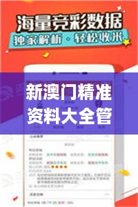 新澳门精准资料大全管家婆料,灵活执行策略_经典款4.924