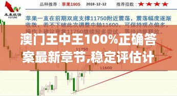 澳门王中王100%正确答案最新章节,稳定评估计划_YE版1.121