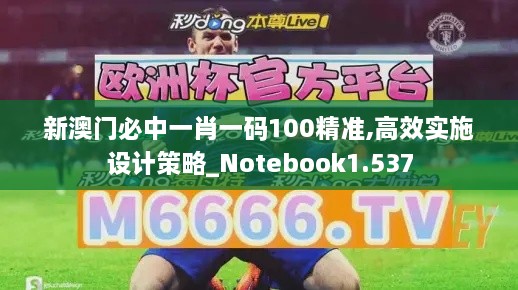 新澳门必中一肖一码100精准,高效实施设计策略_Notebook1.537