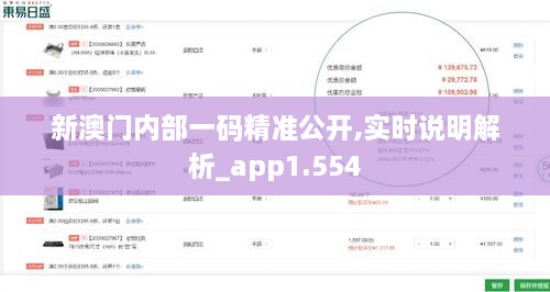 新澳门内部一码精准公开,实时说明解析_app1.554