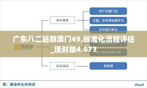 广东八二站新澳门49,标准化流程评估_理财版4.673