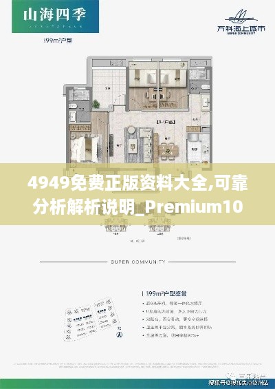 4949免费正版资料大全,可靠分析解析说明_Premium10.331