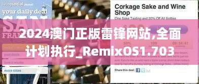 2024澳门正版雷锋网站,全面计划执行_RemixOS1.703