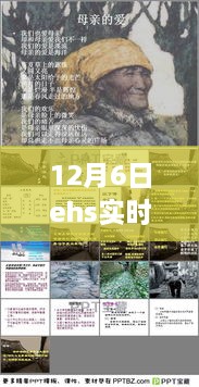 揭秘12月6日ehs实时股指背后的宝藏小店，股市故事与小巷深处的秘密