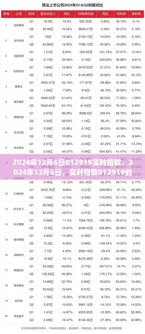 2024年12月6日实时指数回顾与影响，聚焦012919事件