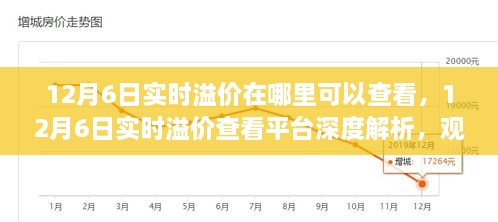 12月6日实时溢价查看指南，平台深度解析、观点阐述与个人立场