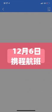 12月6日携程航班实时动态查询指南，从初学者到进阶用户全覆盖