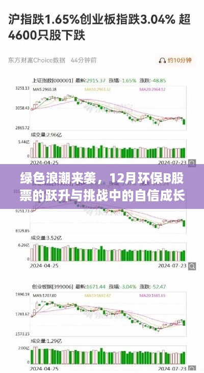 绿色浪潮下环保B股票的跃升与挑战，自信成长之路