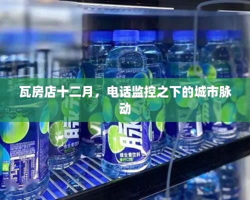 瓦房店十二月，电话监控下的城市生活观察