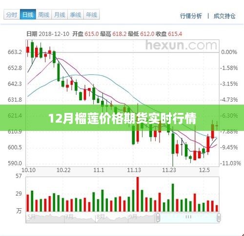 12月榴莲期货实时行情走势分析