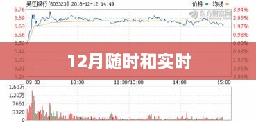 实时更新，掌握每月最新动态，随时关注12月实时资讯