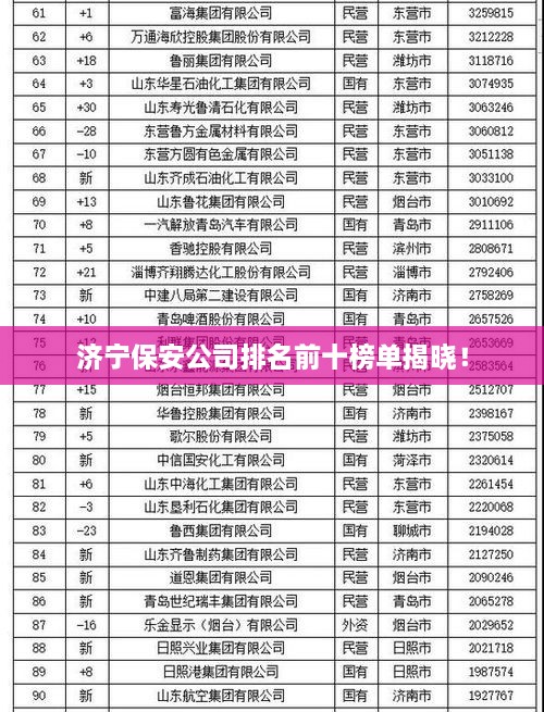 济宁保安公司排名前十榜单揭晓！