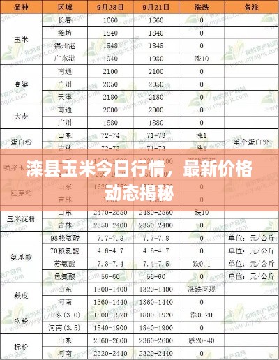 滦县玉米今日行情，最新价格动态揭秘
