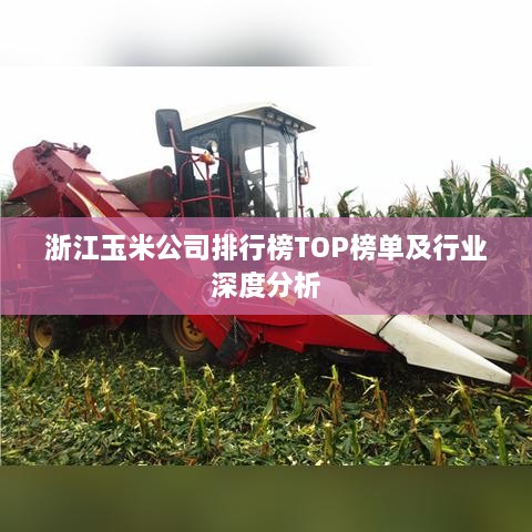 浙江玉米公司排行榜TOP榜单及行业深度分析