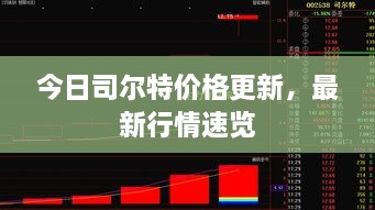 今日司尔特价格更新，最新行情速览