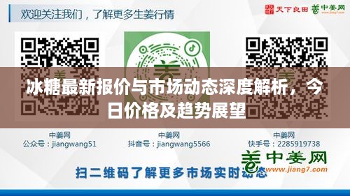 冰糖最新报价与市场动态深度解析，今日价格及趋势展望