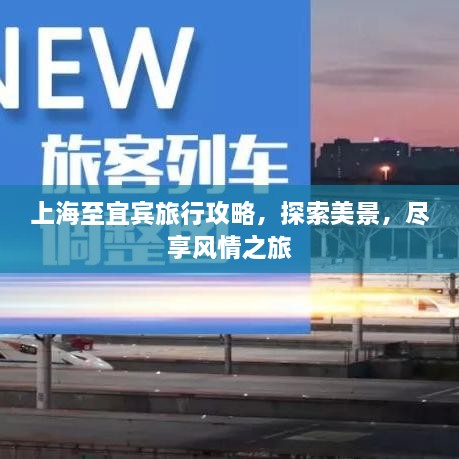 上海至宜宾旅行攻略，探索美景，尽享风情之旅