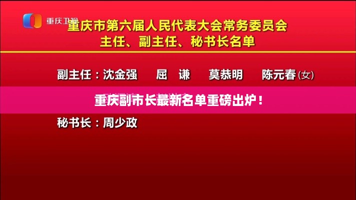 重庆副市长最新名单重磅出炉！